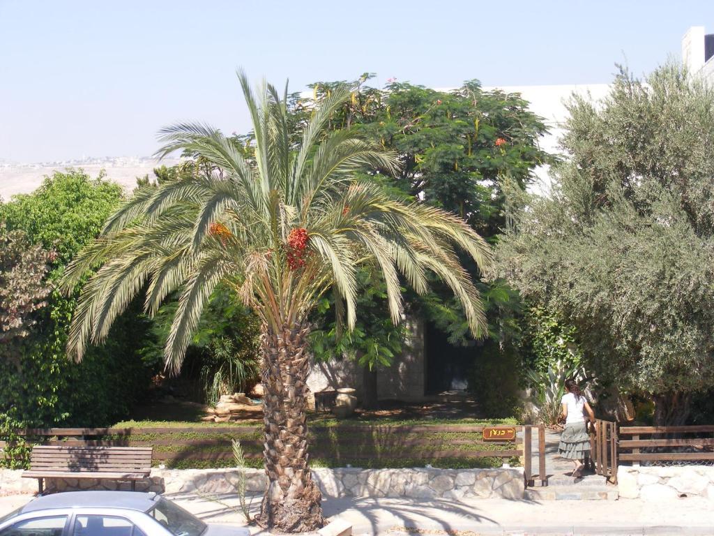 Nof Canaan Kfar Adumim Exterior foto